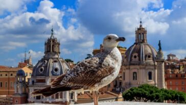 Rome City Center Itinerary – What to See and Do