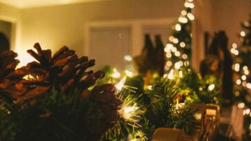 Embracing the Holiday Season: Exploring Current Real Estate Trends with Julie at MagnumOne Realty