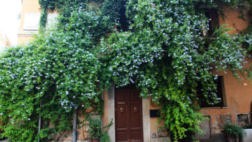 Rome in August – Weather, Holidays & Things to Do