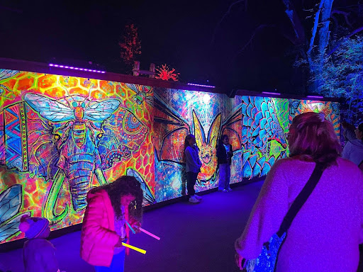 Animals on the run: a move to a new zoo