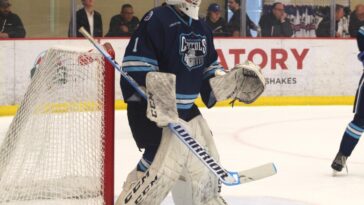 Trio of Eastern Conference players take home USHL's Week 23 honors – The Rink Live