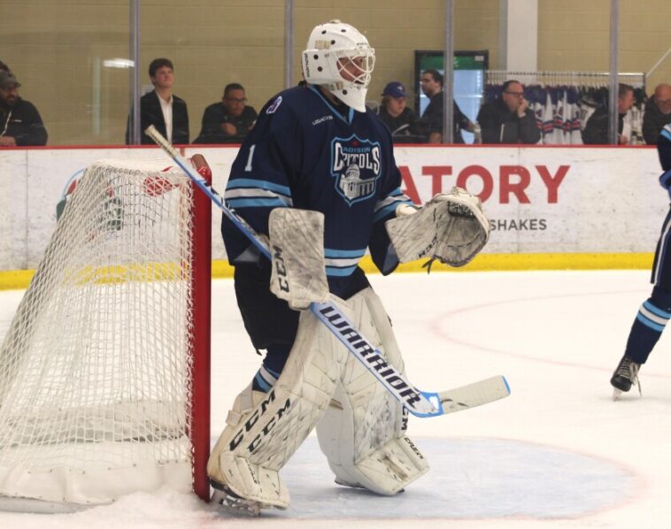 Trio of Eastern Conference players take home USHL's Week 23 honors – The Rink Live