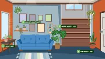 Houseplant starter guide: Tips and tricks