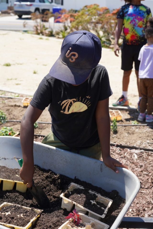 Music Changing Lives Celebrates 26th Anniversary by Combating Inland Food Deserts with Community Garden Harvesting
