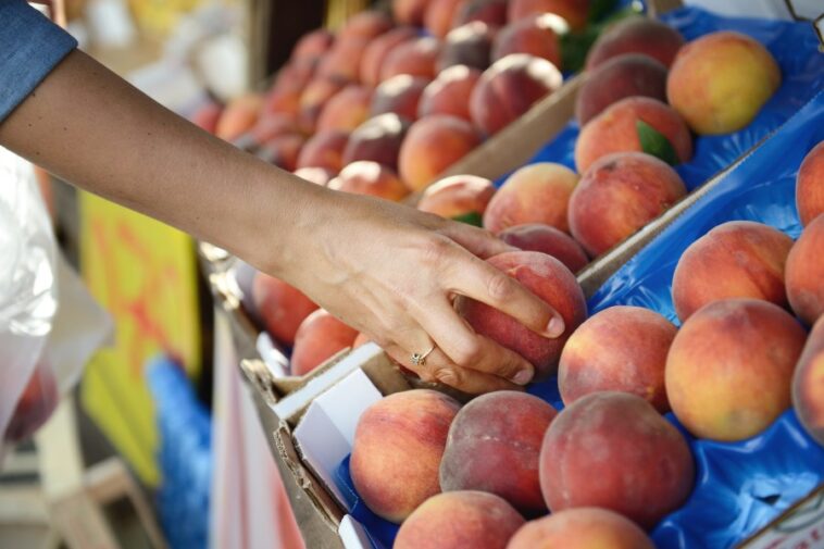 Marysville Peach Festival returns amid hotel fire: 'Don't be afraid to come Downtown' Marysville Peach Festival returns amid hotel fire: 'Don't be afraid to come Downtown'