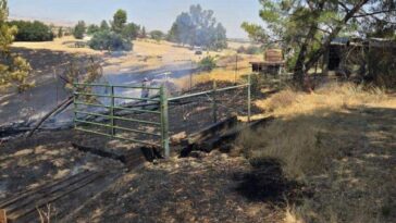 Crews contain fire in rural Paso Robles