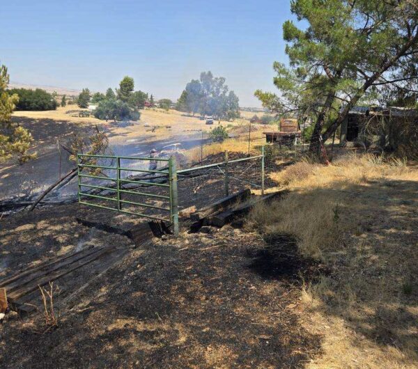 Crews contain fire in rural Paso Robles