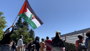 Pro-Palestinian Protesters March Across Campus and Confront DVC President