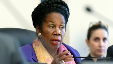 Rep. Sheila Jackson Lee, a champion for progressive causes, dies at 74