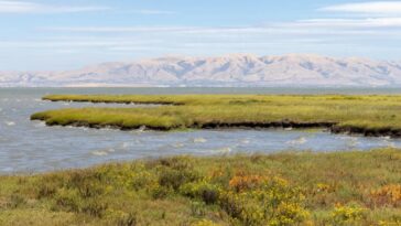 Exploring the Peninsula’s sublime shoreline parks