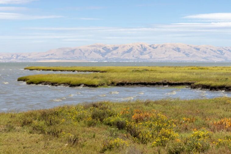 Exploring the Peninsula’s sublime shoreline parks