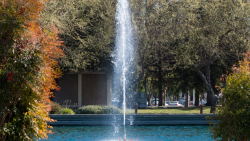 Stanislaus State Shines With Gold STARS Rating