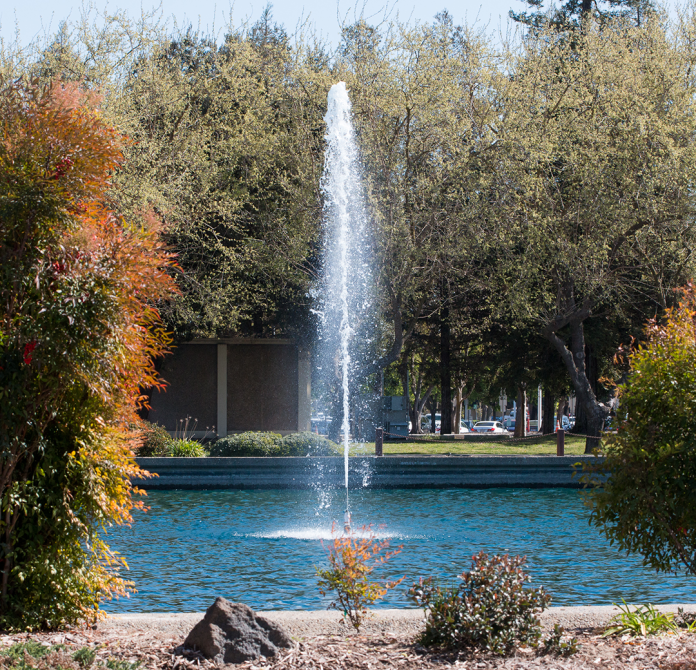 Stanislaus State Shines With Gold STARS Rating