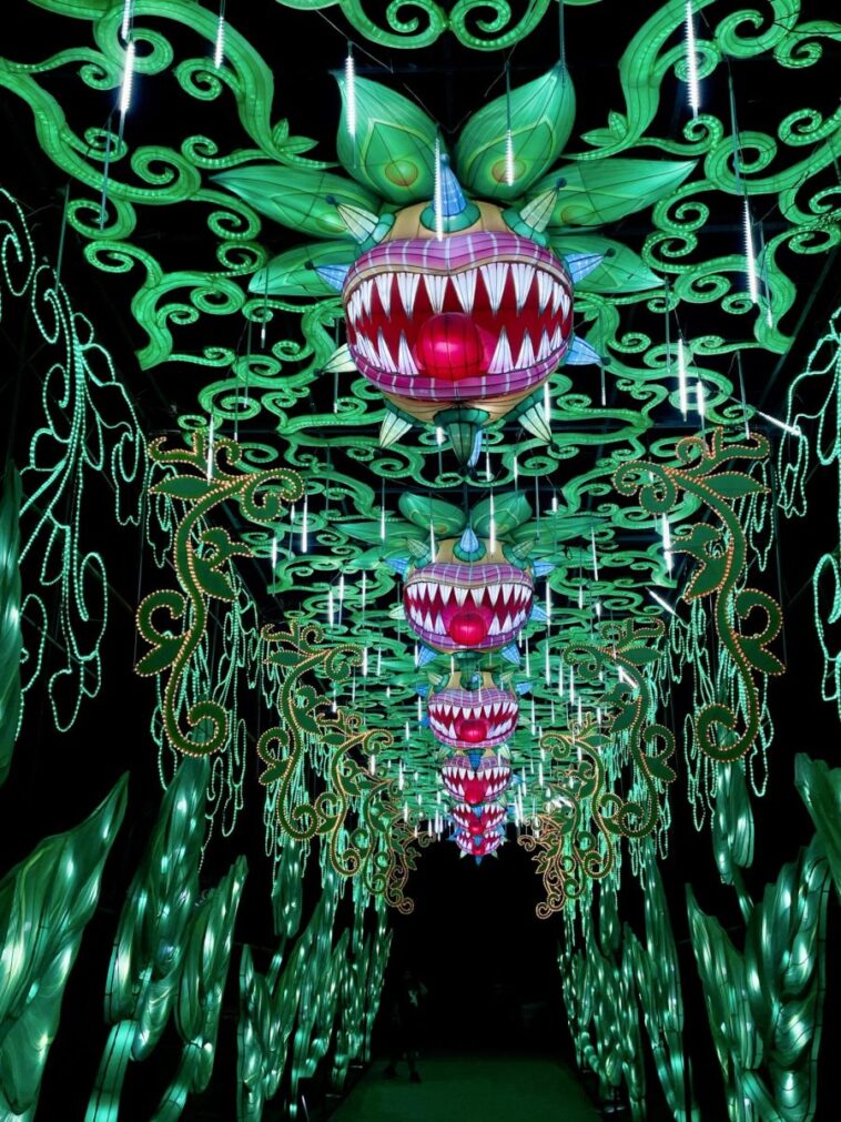 The Living Desert Zoo and Gardens glows at night