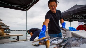 New partnership delivers locally-caught seafood to San Diegans in need