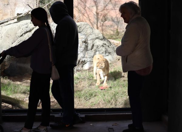 Plans progress for the Sacramento Zoo move