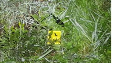 Attorney general investigating fatal shooting by Richmond police