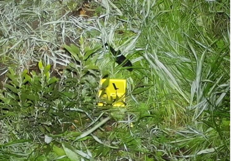 Attorney general investigating fatal shooting by Richmond police