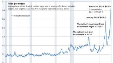 A look at egg prices and where the fight against avian flu is