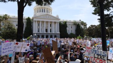 GALLERY: Thousands gather at State Capitol for “No Kings Day” protest