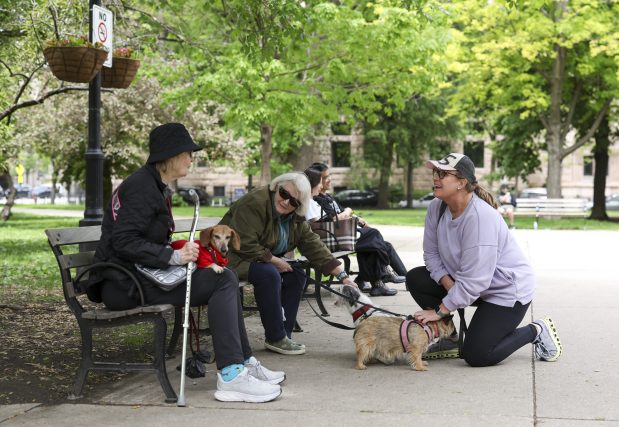 Washington Square Park neighbors unite to preserve open space – Chicago Tribune