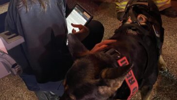 Outdated California Law Forces 5,000 Nursing Students to Leave State for Clinical Rotations Amid Shortage