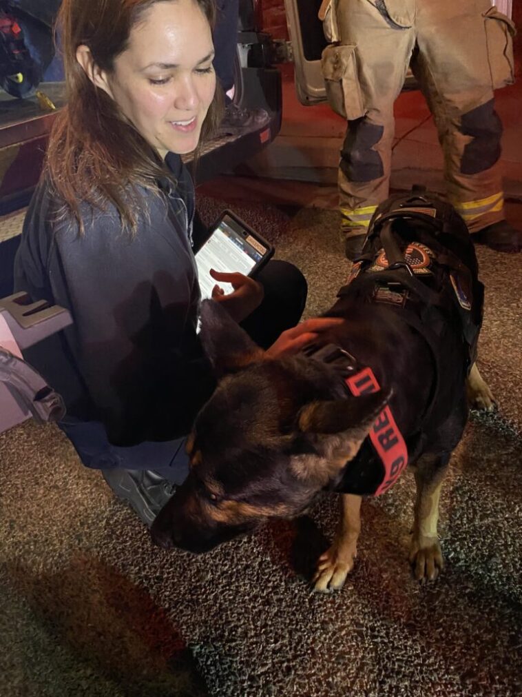 Outdated California Law Forces 5,000 Nursing Students to Leave State for Clinical Rotations Amid Shortage