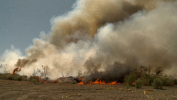 ¿Qué ardió al este del valle? Bomberos y residentes reaccionan al incendios de mantillo mientras el incendio Shady alcanza su contención total