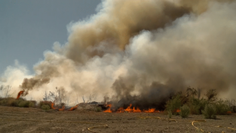 ¿Qué ardió al este del valle? Bomberos y residentes reaccionan al incendios de mantillo mientras el incendio Shady alcanza su contención total