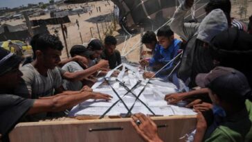 Famine grips Gaza’s largest city and is likely to spread, authority on food crises says