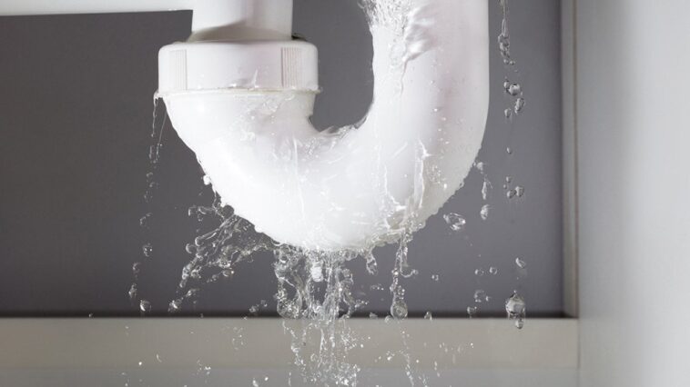 The 7 biggest mistakes all landlords make The 7 biggest mistakes all landlords make