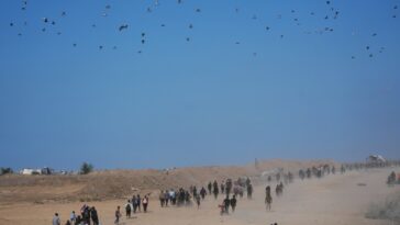Thousands of Palestinians return to what remains of their homes as Gaza ceasefire takes effect