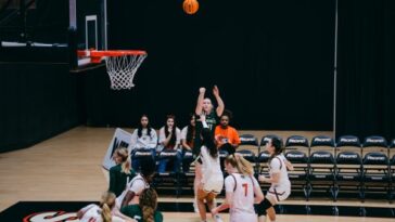 Hornets welcomed to the jungle by Tigers in fourth straight loss