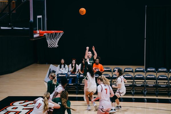 Hornets welcomed to the jungle by Tigers in fourth straight loss Hornets welcomed to the jungle by Tigers in fourth straight loss