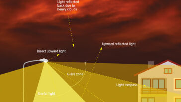 Seeing Stars: The right to the night