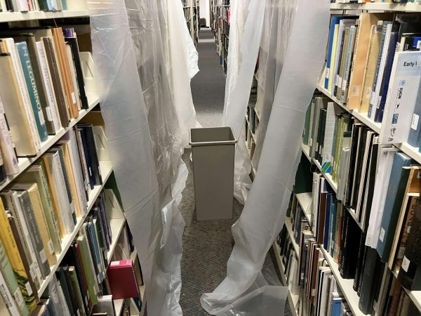 California Faculty Association petition urges Sacramento State leaders and community members to reinstate library funding