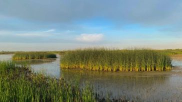 For fitness and nature enthusiasts: The best hiking trails around Sacramento