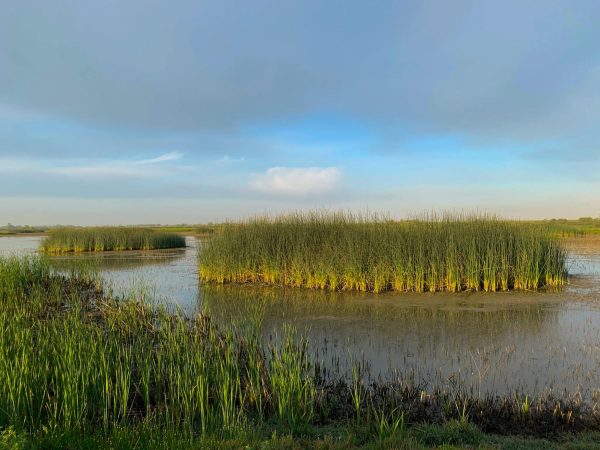 For fitness and nature enthusiasts: The best hiking trails around Sacramento For fitness and nature enthusiasts: The best hiking trails around Sacramento